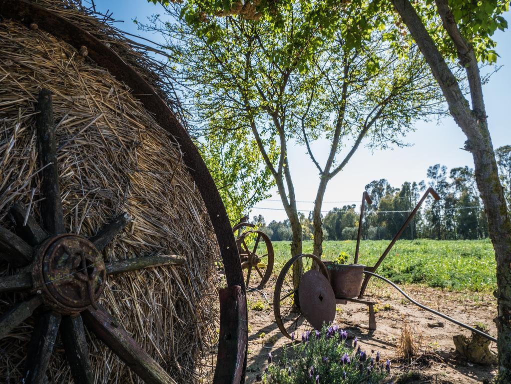 Il Fontanile Alloggio per agriturismo *